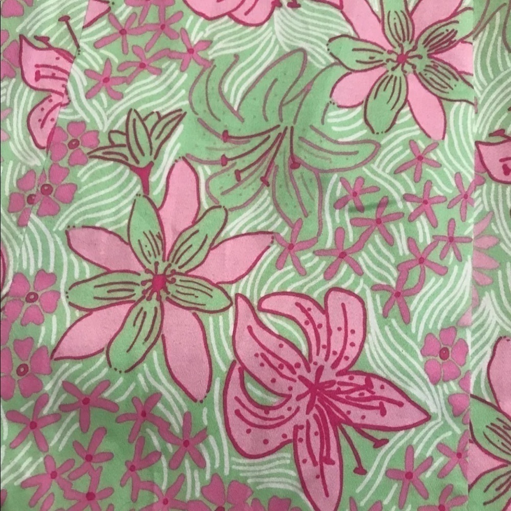 Lilly Pulitzer Dress - Picture 2 of 4